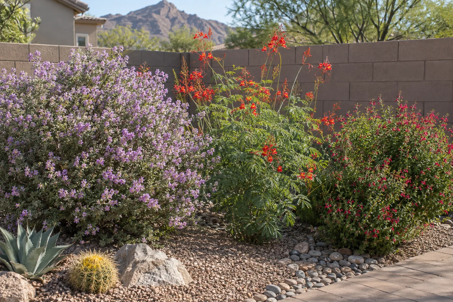 Mixed desert shrubs in bloom along a block wall in an East Valley yard