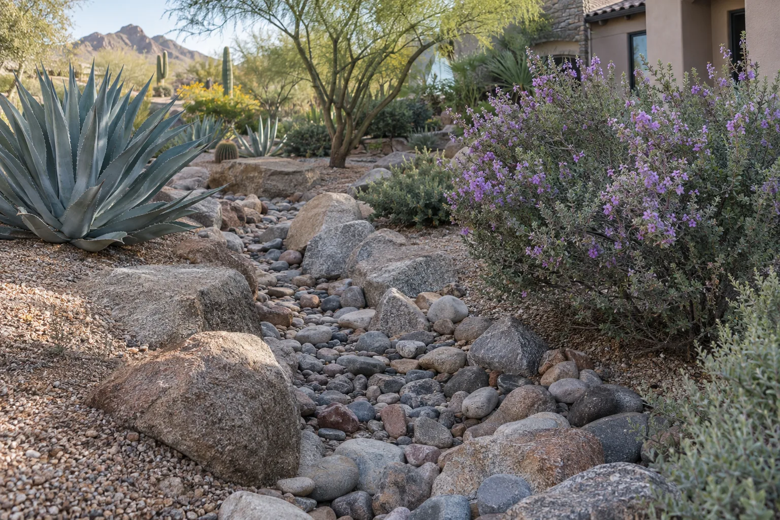Dry creek bed of river rock and boulders beside agave and purple-flowering Texas sage