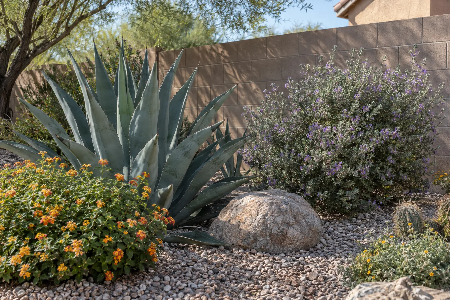 Mixed desert garden with agave, lantana and silver Texas sage along a block wall