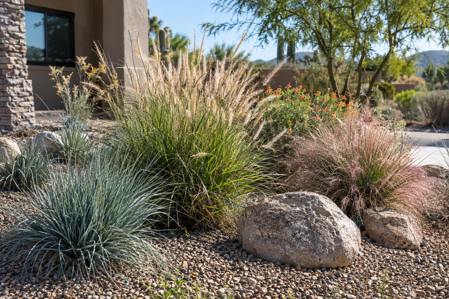 Mixed bed of ornamental grasses with gravel mulch in a Queen Creek yard