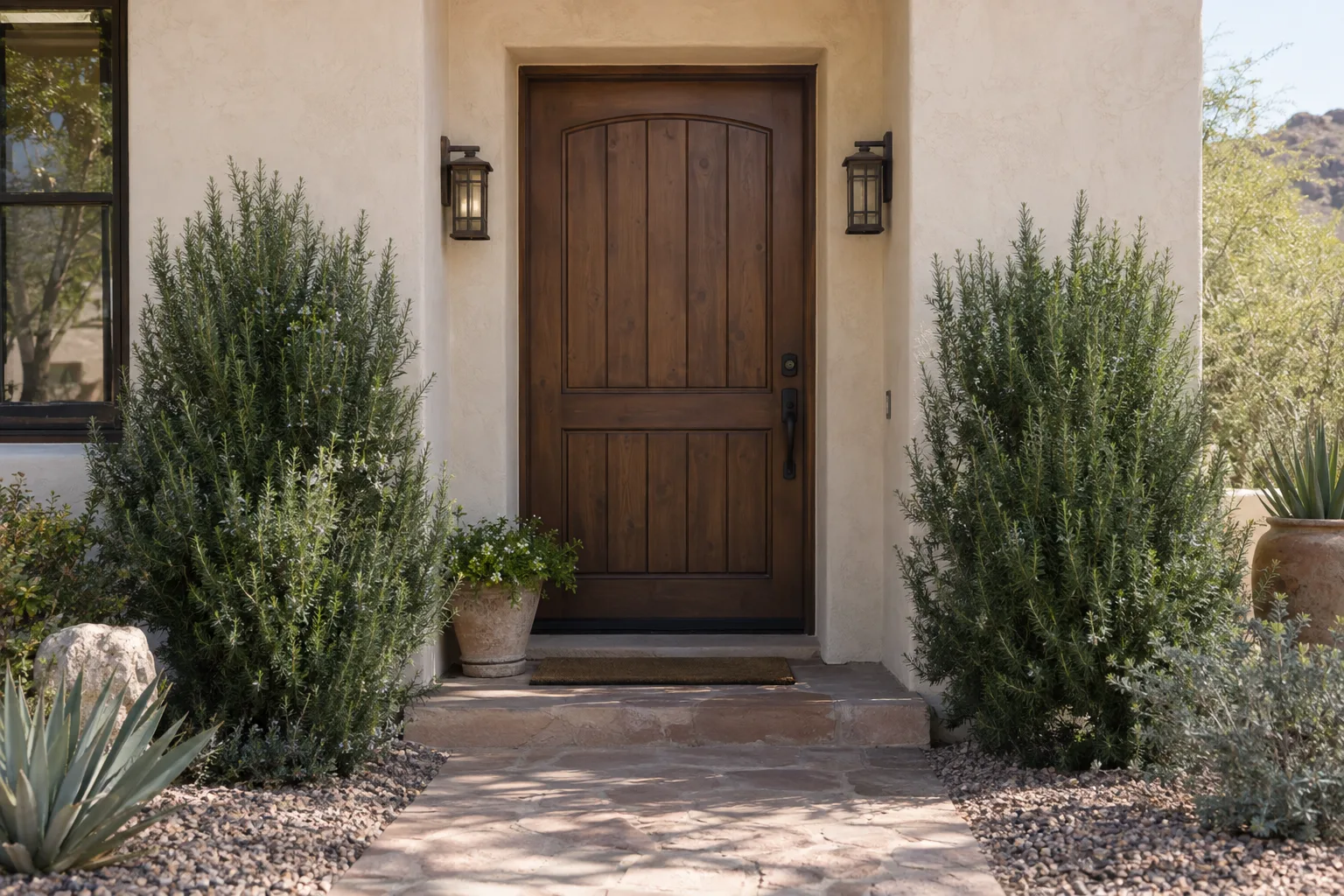 Two upright rosemary shrubs frame a stucco front entry in the low desert