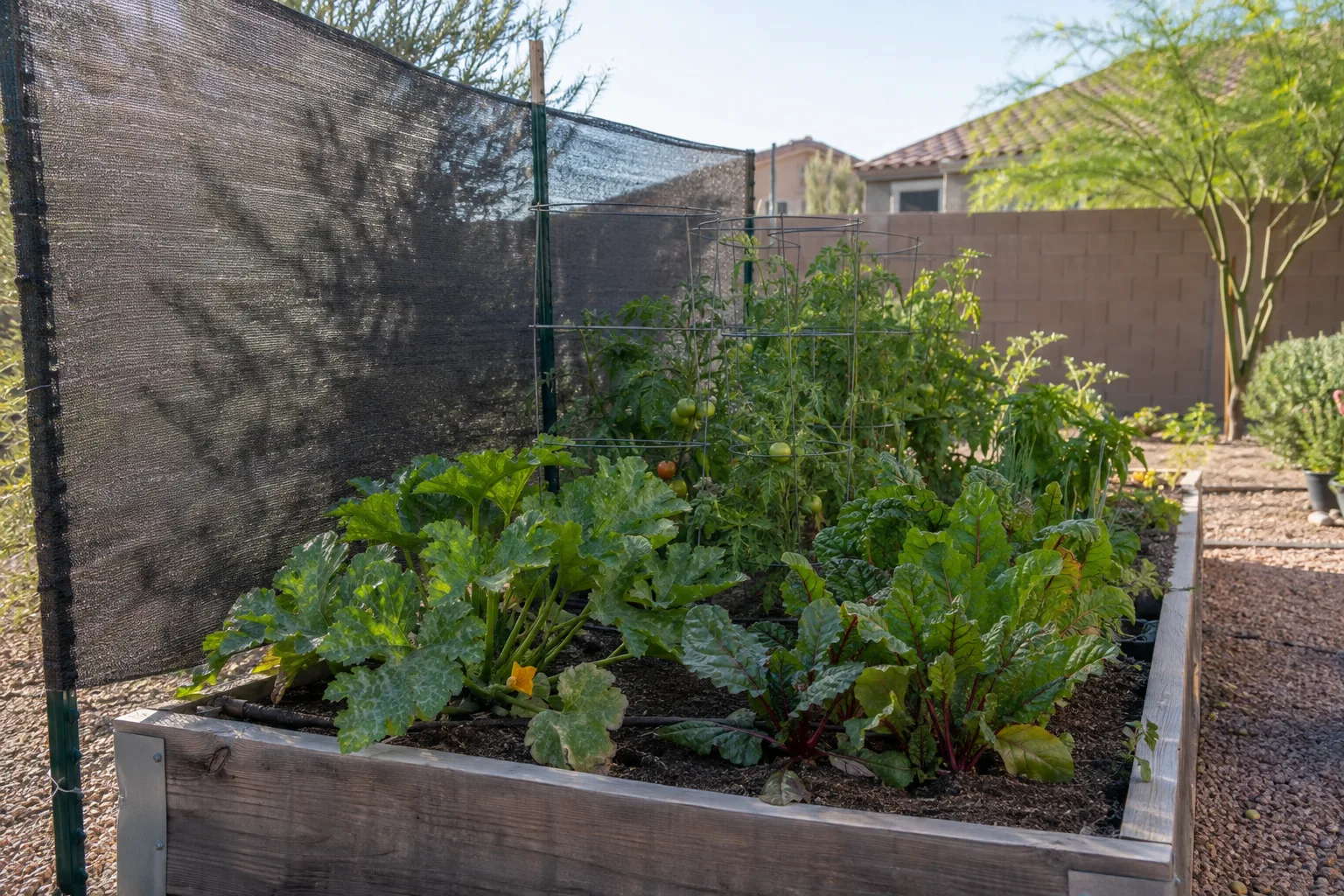 Vegetable bed with shade cloth stretched over the west side protecting summer crops