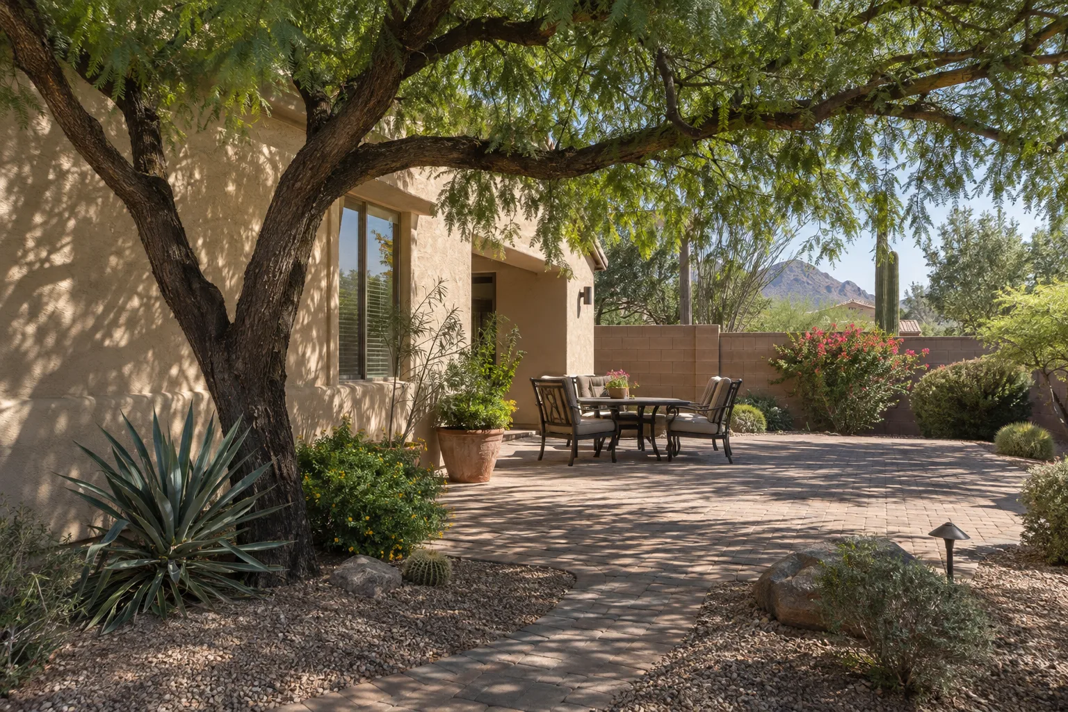 Mature shade tree shading a patio and house wall on a sunny desert afternoon