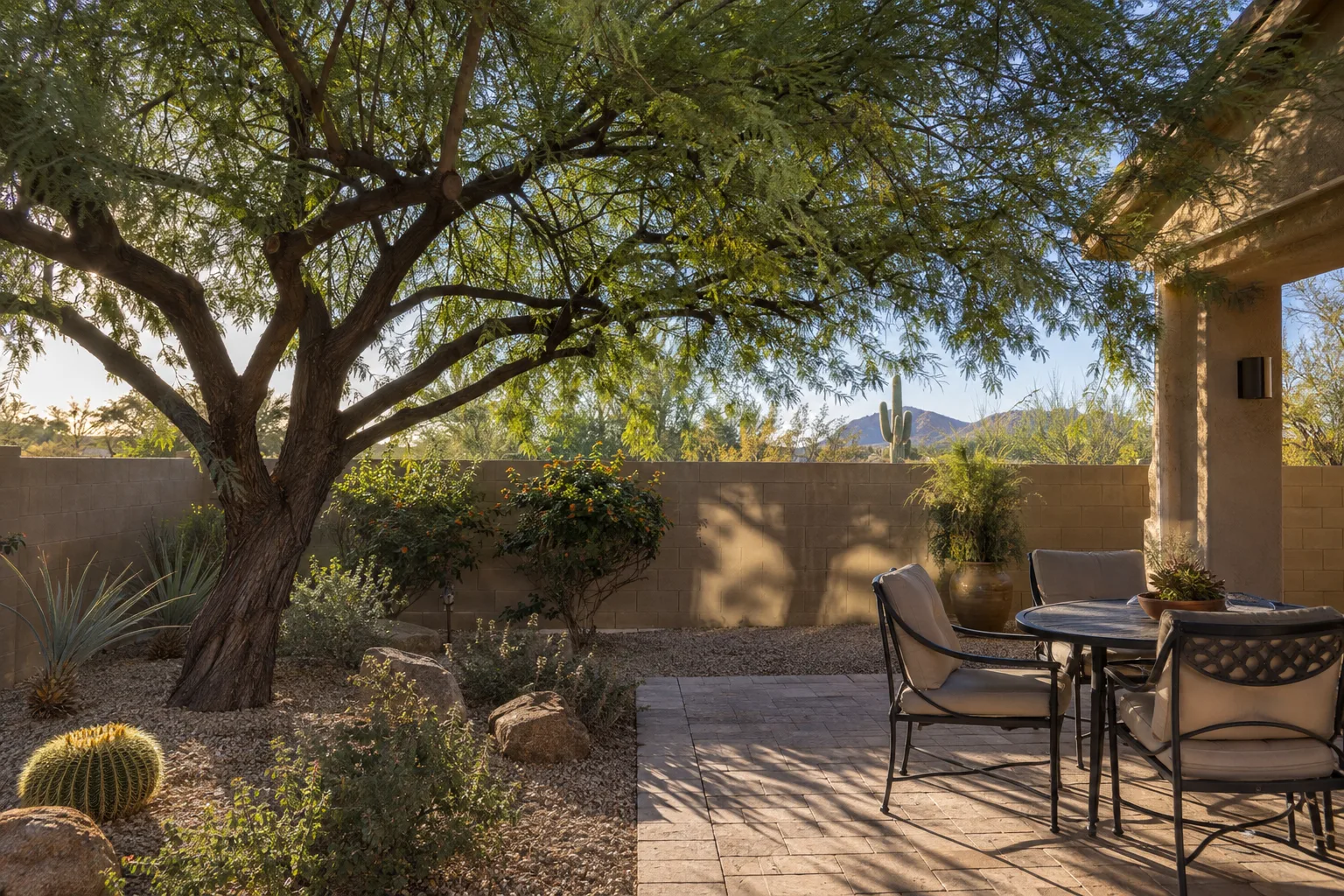 Mature desert tree shading a block wall and patio on a sunny low desert afternoon
