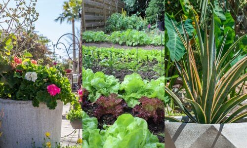 5170ad73-5d9d-7c86-0e8e-8a8993760c1d