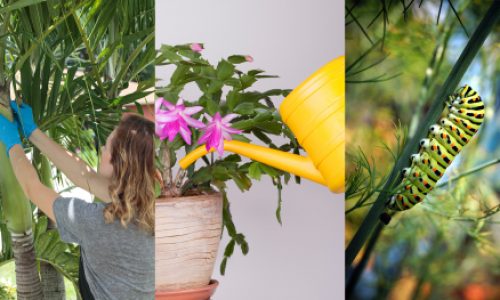 8521ae47-4797-4868-9486-052238f5235e